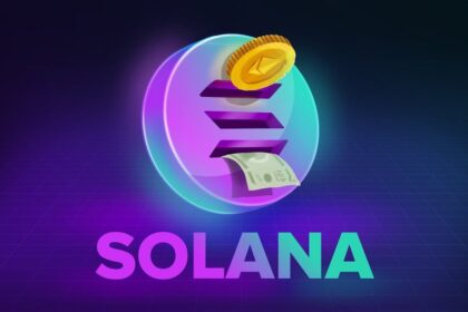 Zig Network Could Change The Crypto Landscape In 2025 As Top Analyst Predicts It To Be The Biggest Gainer In 2025 Over Solana (SOL) And Chainlink (LINK)