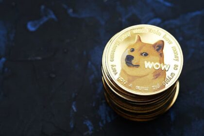 Analyst Says Dogecoin Is Sucking Liquidity From Meme Coin Market