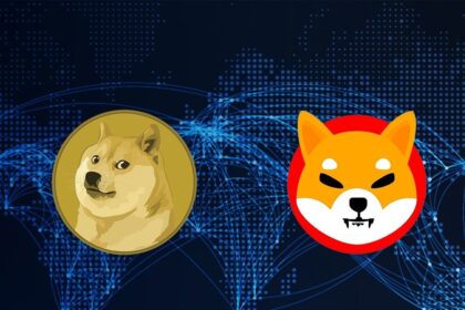 Shiba Inu’s Bullish Momentum Draws Attention, Investment Firm Predicts SHIB to Surpass Dogecoin in 2025