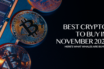 Best Crypto to Buy Now in November 2024 – Top Crypto to Invest In